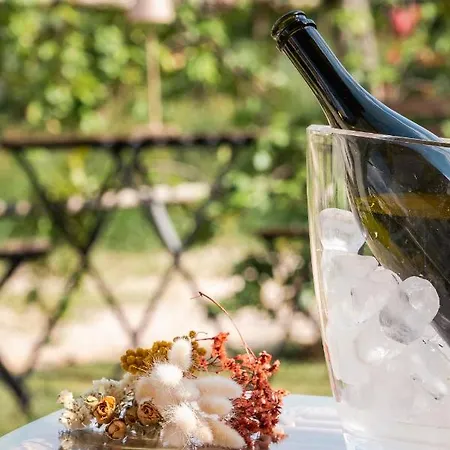 Le Vigne Del Gallo